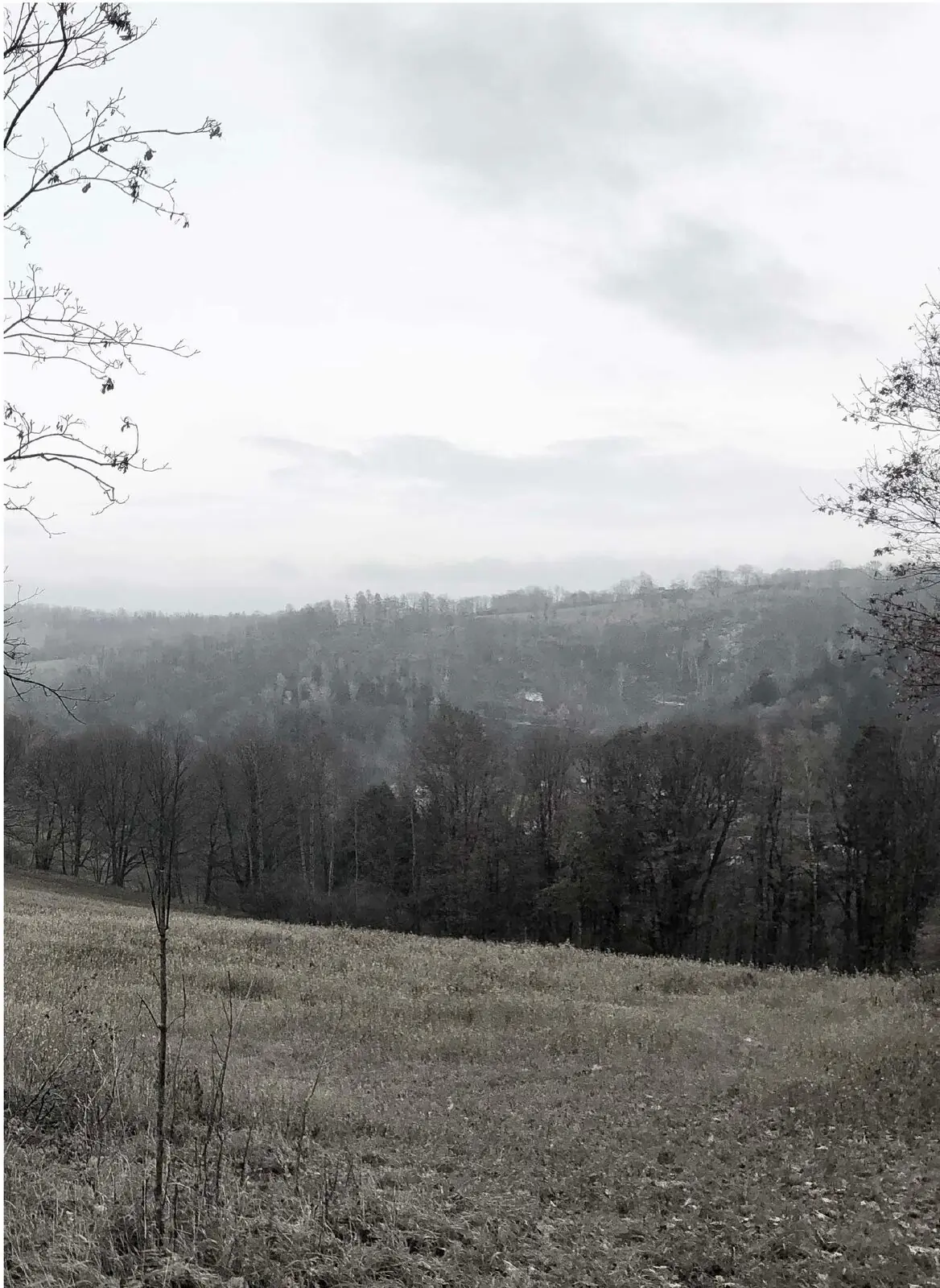 Landschaft bei Glashütte